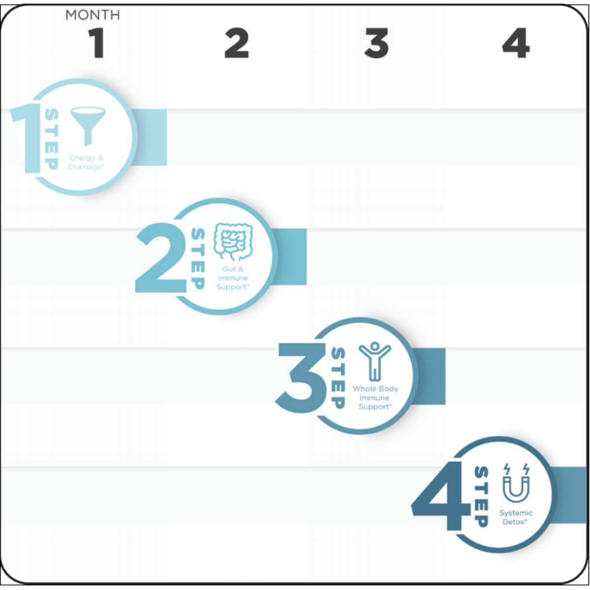 Foundational Protocol
