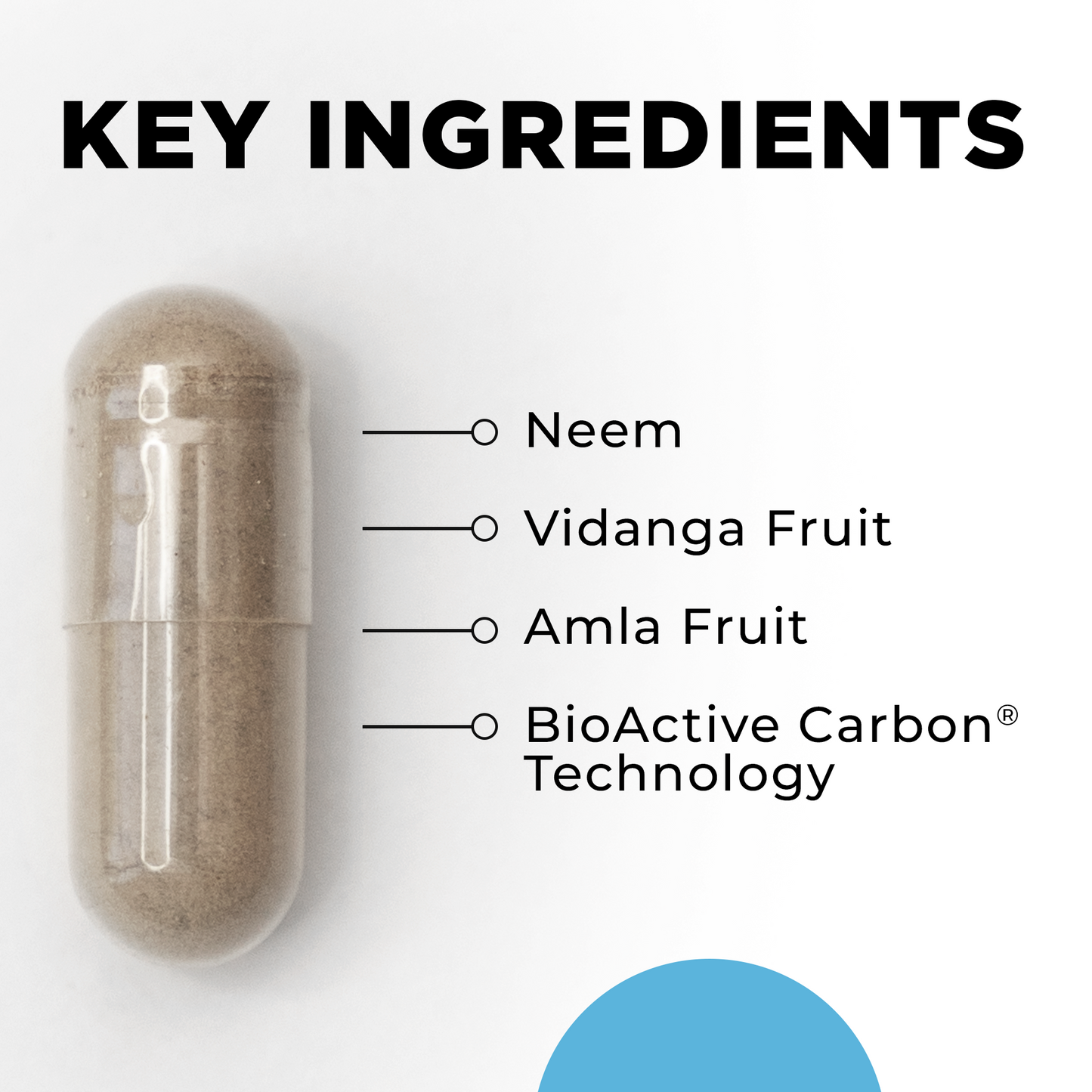Para Kit - Ayurvedic Herbs
