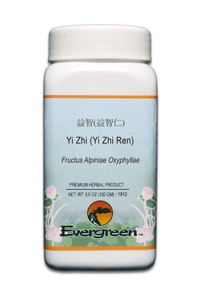 Yi Zhi Ren | Fructus Alpiniae Oxyphyllae