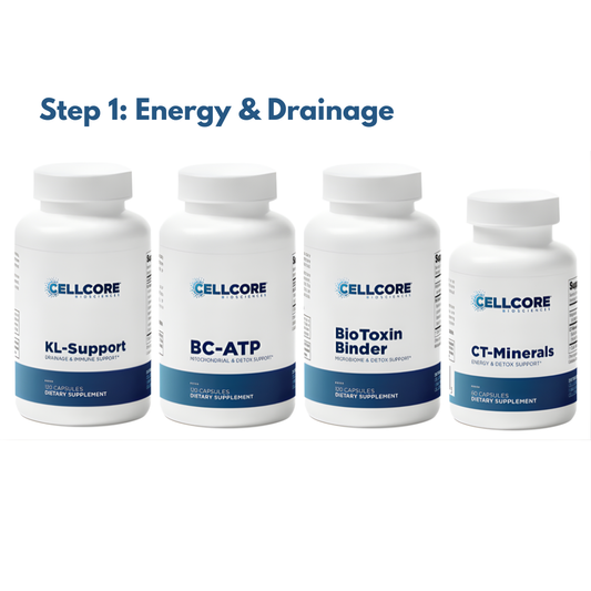 Foundational Protocol