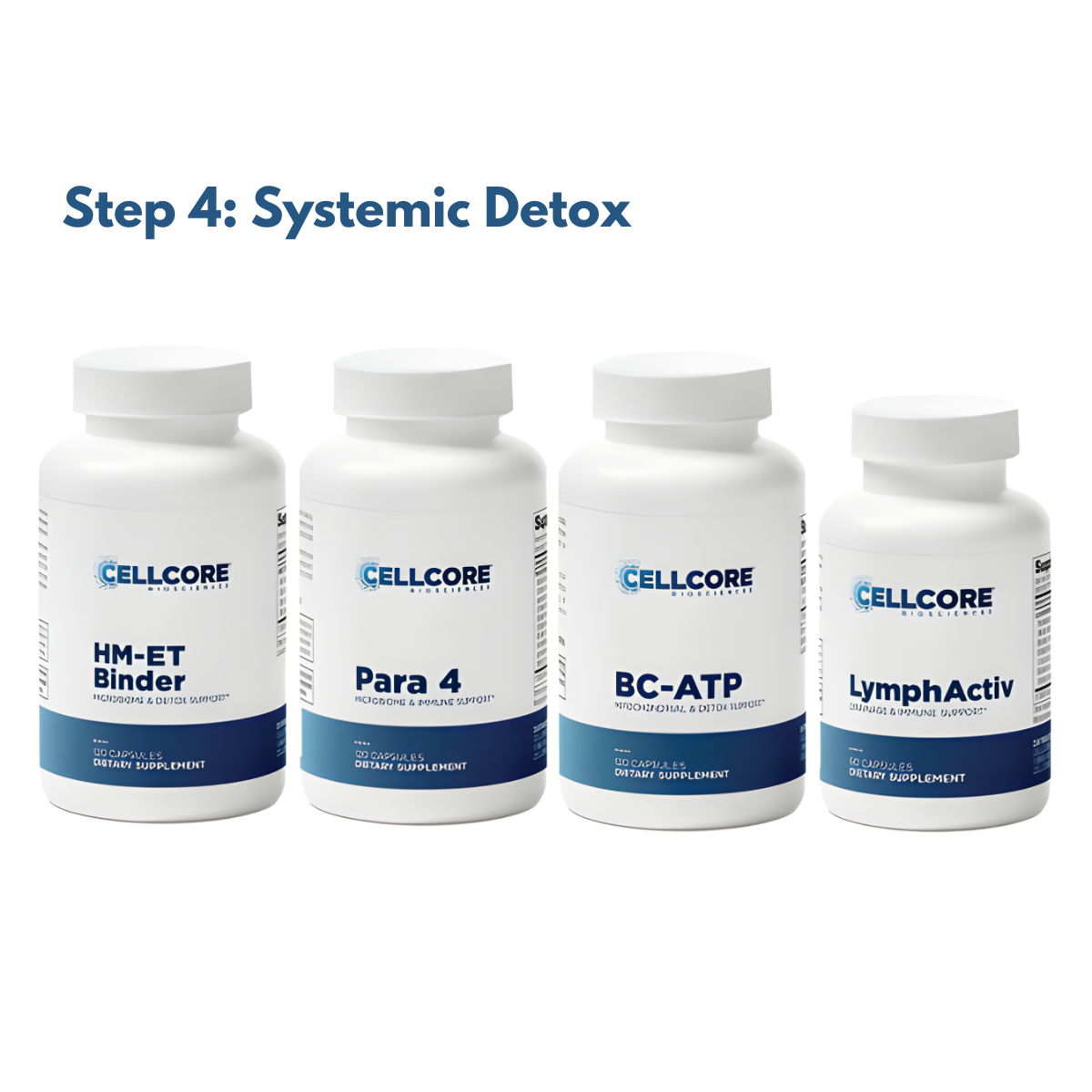 Foundational Protocol